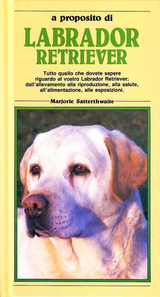 Satterthwaite M.: Labrador retriever
