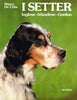 De Cillis M.: I setter