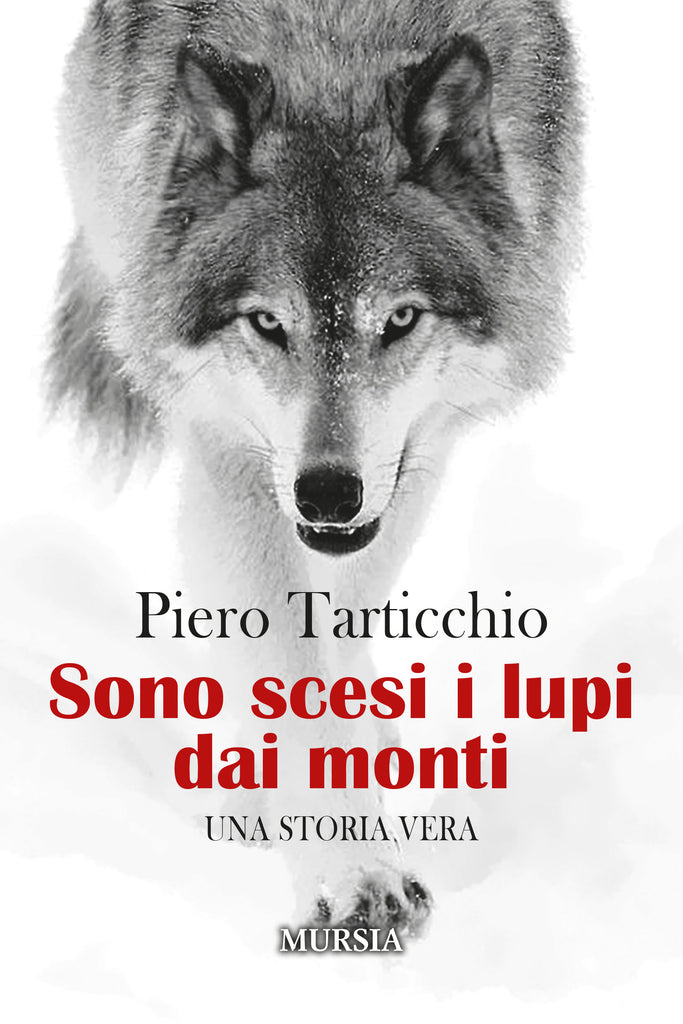 Tarticchio Piero: Sono scesi i lupi dai monti