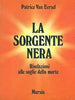 Van Eersel P.: La sorgente nera